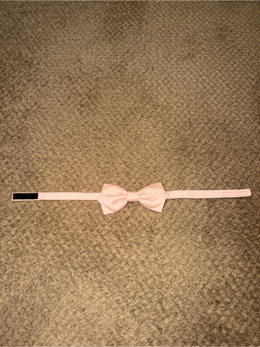Birdy Grey Harry Kids Bow Tie - Blush Pink